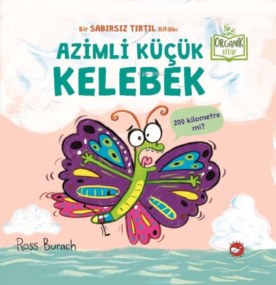 Azimli Küçük Kelebek Ross Burach