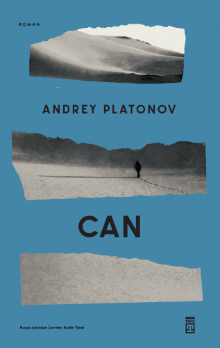 Can Andrey Platonov