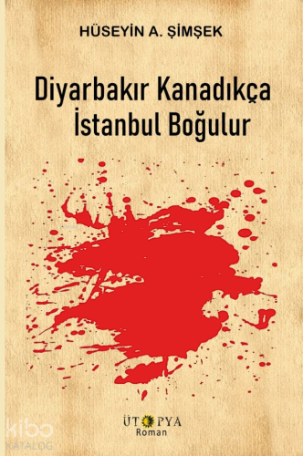 Diyarbarkır Kanadıkça İstanbul Boğulur Hüseyin A. Şimşek