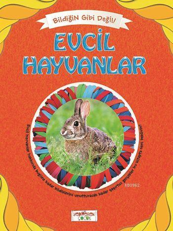 Evcil Hayvanlar Asena Meriç