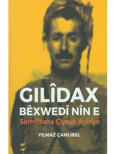 GilîdaxBêxwedîNîne Serhildana Çîyayê Agirîyê