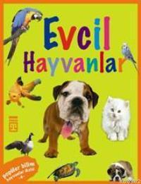 Hayvanlar Dizisi - Evcil Hayvanlar Sema Gül