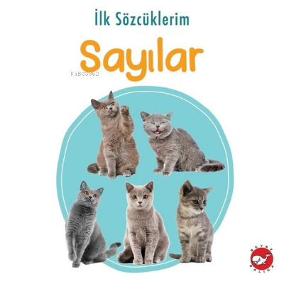 İlk Sözcüklerim - Sayılar Kolektif