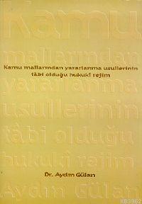 Kamu Mallarından Yararlanma Usulleri Aydın Gülan