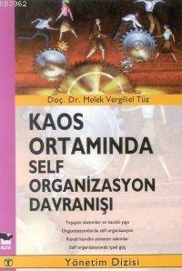 Kaos Ortamında Self Organizasyon Davranışı Melek Vergiliel