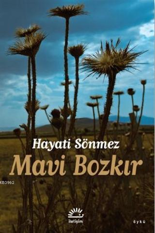 Mavi Bozkır Hayati Sönmez