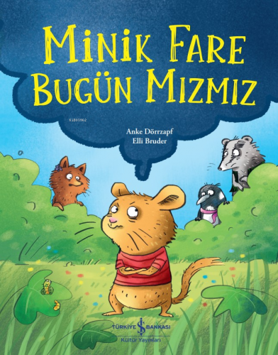 Minik Fare Bugün Mızmız Anke Dörrzapf