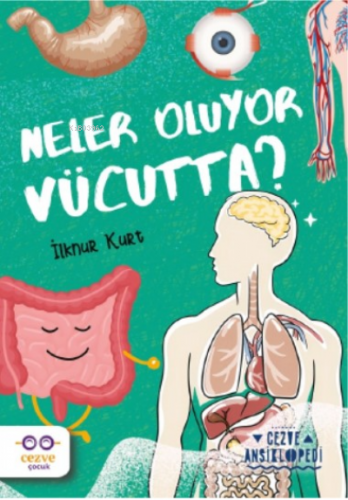 Neler Oluyor Vücutta ? ;Cezve Ansiklopedi İlknur Kurt