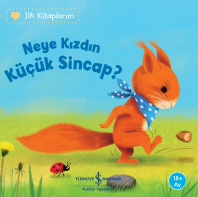 Neye Kızdın Küçük Sincap? Katja Reider