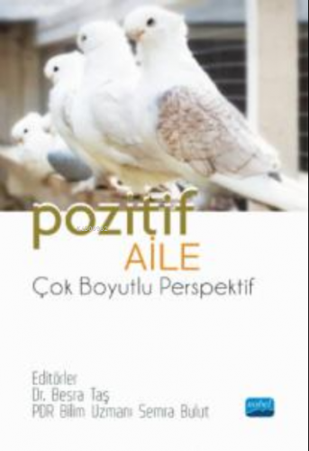 Pozitif Aile-Çok Boyutlu Perspektif Kolektif