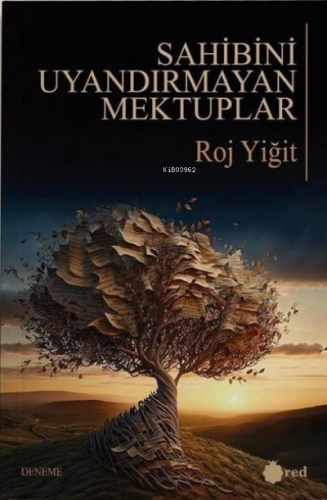 Sahibini Uyandırmayan Mektuplar Roj Yiğit