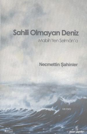 Sahili Olmayan deniz Necmettin Şahin