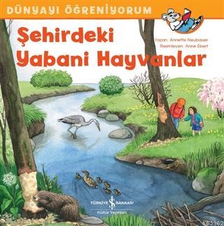 Şehirdeki Yabani Hayvanlar - Dünyayı Öğreniyorum Annette Neubauer