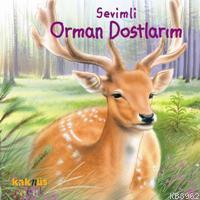 Sevimli Orman Dostlarım (0-5 Yaş) Philippe Salembier