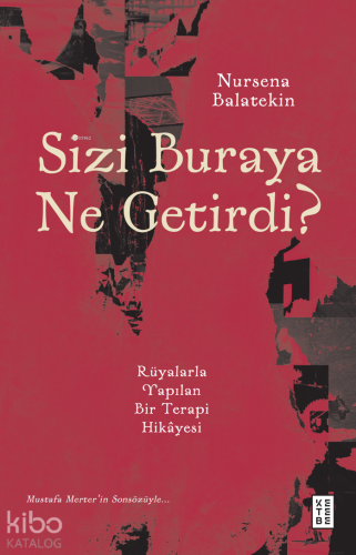 Sizi Buraya Ne Getirdi?;Rüyalarla Yapılan Bir Terapi Hikâyesi Nursena 