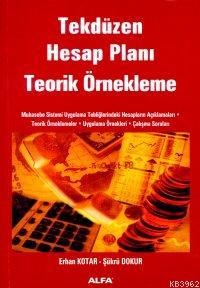 Tekdüzen Hesap Planı Teorik Örnekleme Erhan Kotar