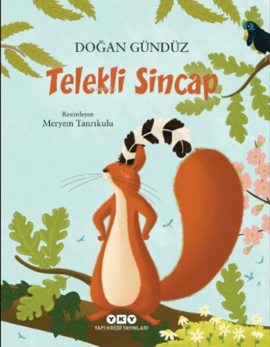 Telekli Sincap Doğan Gündüz