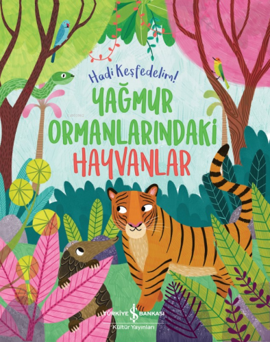 Yağmur Ormanlarındaki Hayvanlar;Hadi Keşfedelim! Claire Philip